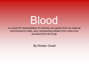 2. Blood Slideshow by Kirsten Cluett - Jannali