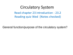 Circulatory System