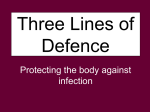 Three Lines of Defense