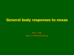 General body responses to noxas