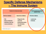 Ch 12 2nd and 3rd Lines of Defense