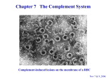 Discovery of Complement