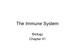 The Immune System