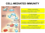 CELL-MEDIATED IMMUNITY