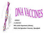 DNA VACCINES