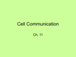 Cell Communication