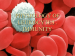 19 Physiology of leukocytes