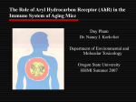 Aging Study in mice