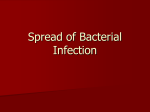 Spread of Bacterial Infection