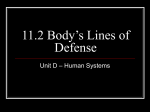 11.2 Body`s Lines of Defense
