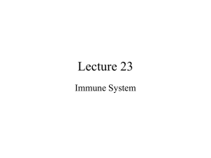 Lecture #23 - Suraj @ LUMS