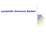 Immune System - Leavell Science Home