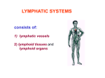 Lymphatic