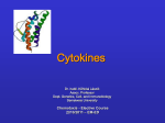 Cytokine - Chemotaxis Group