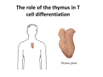 ImmunLec21-2010 - 81-493