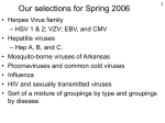 Our selections for Fall 2005