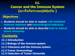 11. Cancer and the Immune System