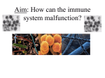 How can your immune system malfunction?
