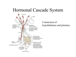 Hormonal Cascade System