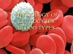 02 Physiology of leukocytes