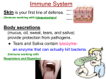 Immune system and allergies