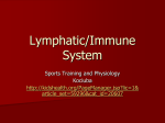 Lymphatic/Immune System