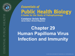 Chapter 29 Human Papilloma Virus Infection and Immunity