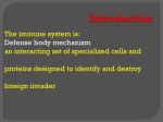 The Innate Immune Response PowerPoint