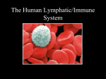 The Human Immune System