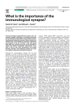 What is the importance of the immunological synapse? Daniel M. Davis