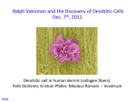 Ralph Steinman and the Discovery of Dendritic Cells Dec. 7 , 2011