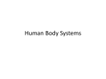 Human Body Systems