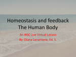 Homeostasis and feedback The Human Body