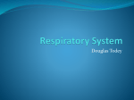 Respiratory System