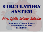 VERTEBRATE CIRCULATORY SYSTEM