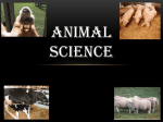 What is Animal Science - Riverside High School