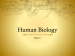 Human Biology