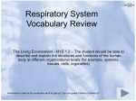 Respiratory System Vocabulary Review