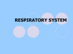 RESPIRATORY SYSTEM