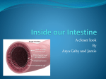 What is the function of the hepatic portal vein?