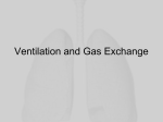 Ventilation and Gas Exchange