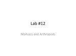 Lab #12