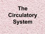 The Circulatory System