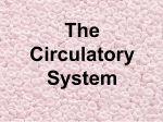 The Circulatory System - ESC-2