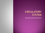 Circulatory system - Atlanta International School