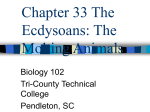 Chapter 32 The Ecdysoans: The Molting Animals