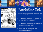 Respiratory Anatomy