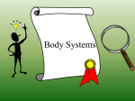 Body Systems