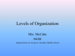 Levels of Organization