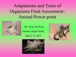 Adaptations and Traits of Organisms Final Assessment